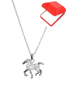coffret chaîne en acier cheval Argent