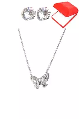 coffret chaîne en acier papillon Argent