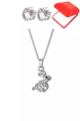 coffret chaîne en acier lapin Argent