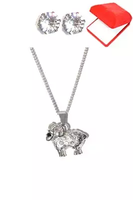 coffret Capricorne signe astrologique Argent