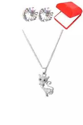 coffret chaîne en acier chat Argent