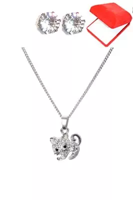 coffret chaîne en acier chat Argent
