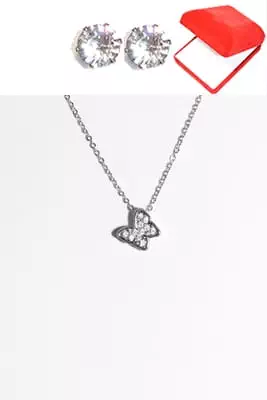 coffret chaîne en acier papillon Argent
