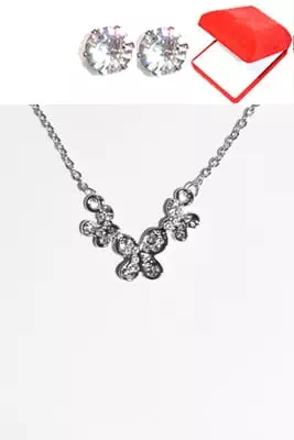 coffret chaîne en acier papillon Argent