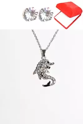 coffret chaîne en acier dauphin Argent