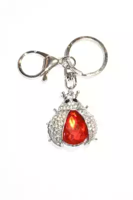 porte-cle coccinelle multicolore
