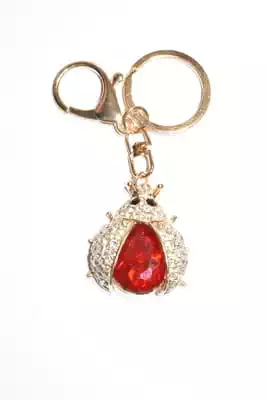 porte-cle coccinelle multicolore