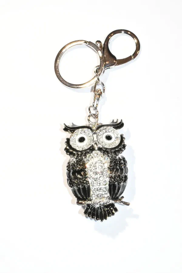 porte-cle hibou chouette multicolore