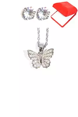 Coffret papillon Argent