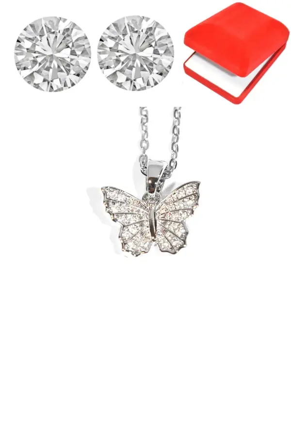 Coffret papillon Argent