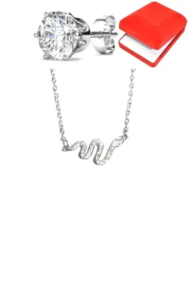 Coffret serpent Argent