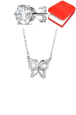 Coffret papillon Argent