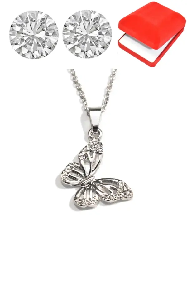 Coffret papillon Argent