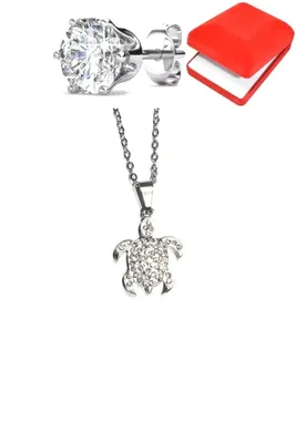 Coffret tortue Argent