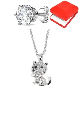 Coffret chat Argent