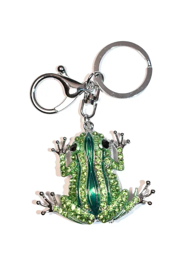 porte-cle grenouille Argent