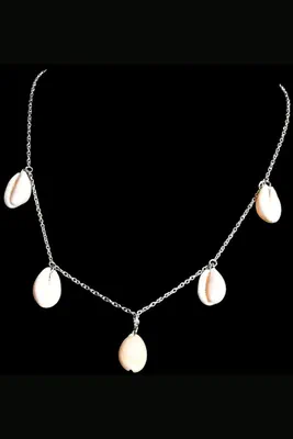 Collier coquillage Argent