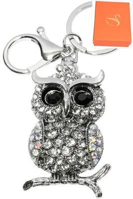 porte-cle coffret cadeaux hibou Argent