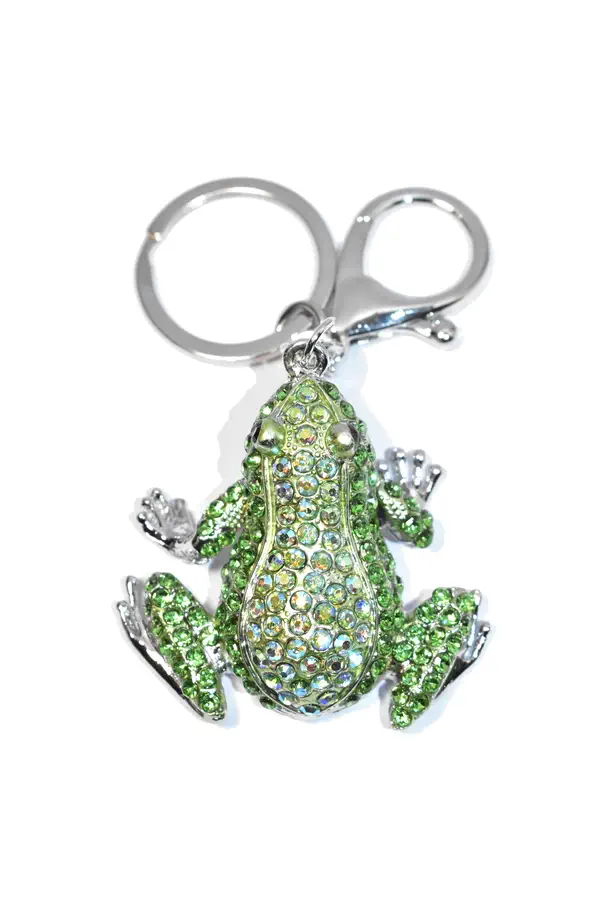 porte-cle grenouille Argent