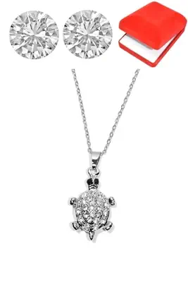 Coffret tortue Argent D90894 