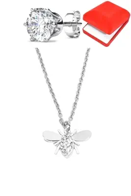 Coffret abeille Argent