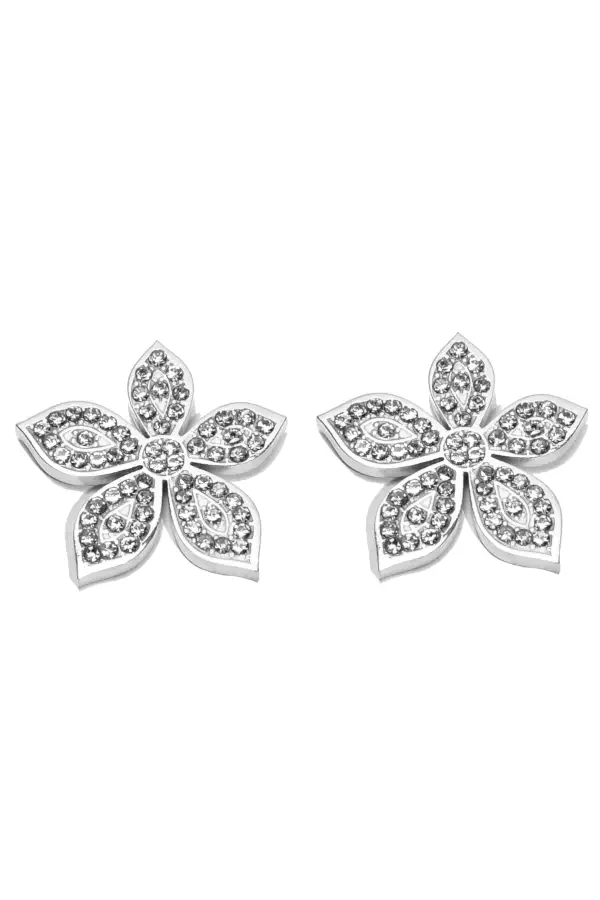 Boucle-d-oreille fleur Argent