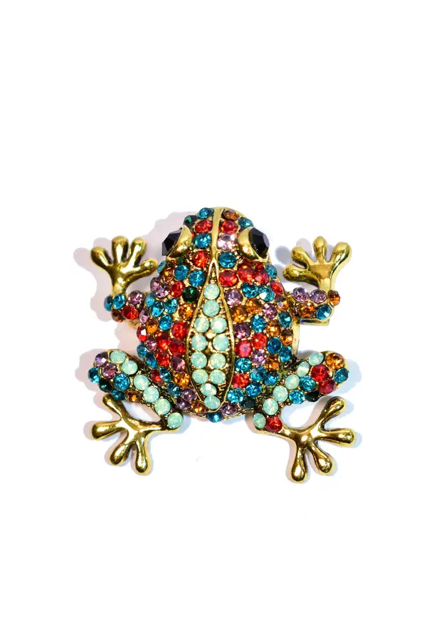 broche grenouille Or