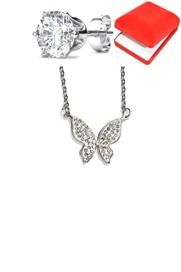 Coffret papillon Argent