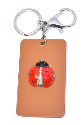 porte-cle coccinelle Argent