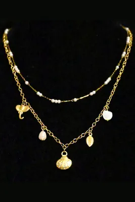 Collier coquille Or