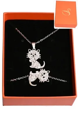 Coffret chat parure bijoux collection hervé aliex Argent