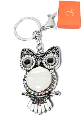 porte-cle coffret cadeaux hibou chouette Argent 833125