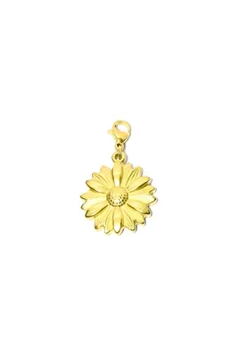 Breloque breloque charms fleur Or C9FB35 