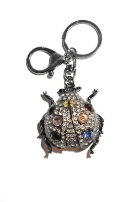 porte-cle coccinelle Noir