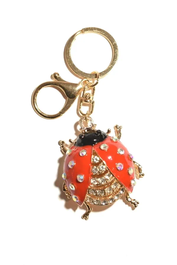 porte-cle coccinelle multicolore