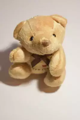 nounours ourson multicolore