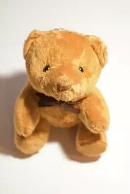 nounours ourson multicolore
