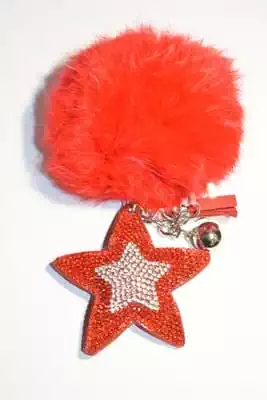 pompon étoile multicolore