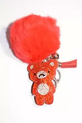 pompon ourson multicolore