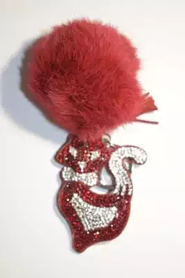 pompon chat multicolore