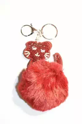 pompon chat multicolore