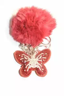 pompon papillon multicolore