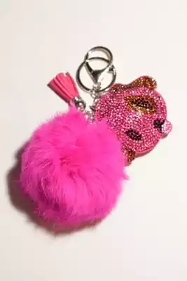 pompon chien multicolore