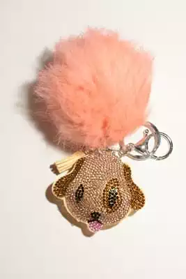 pompon chien multicolore