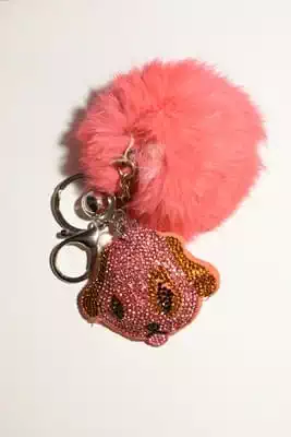 pompon chien multicolore